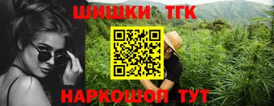 гашик Тулун