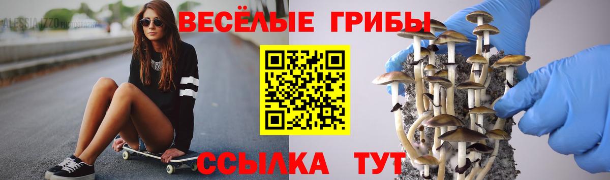 Бузулук  Псилоцибиновые грибы мицелий  Вход с VPN 